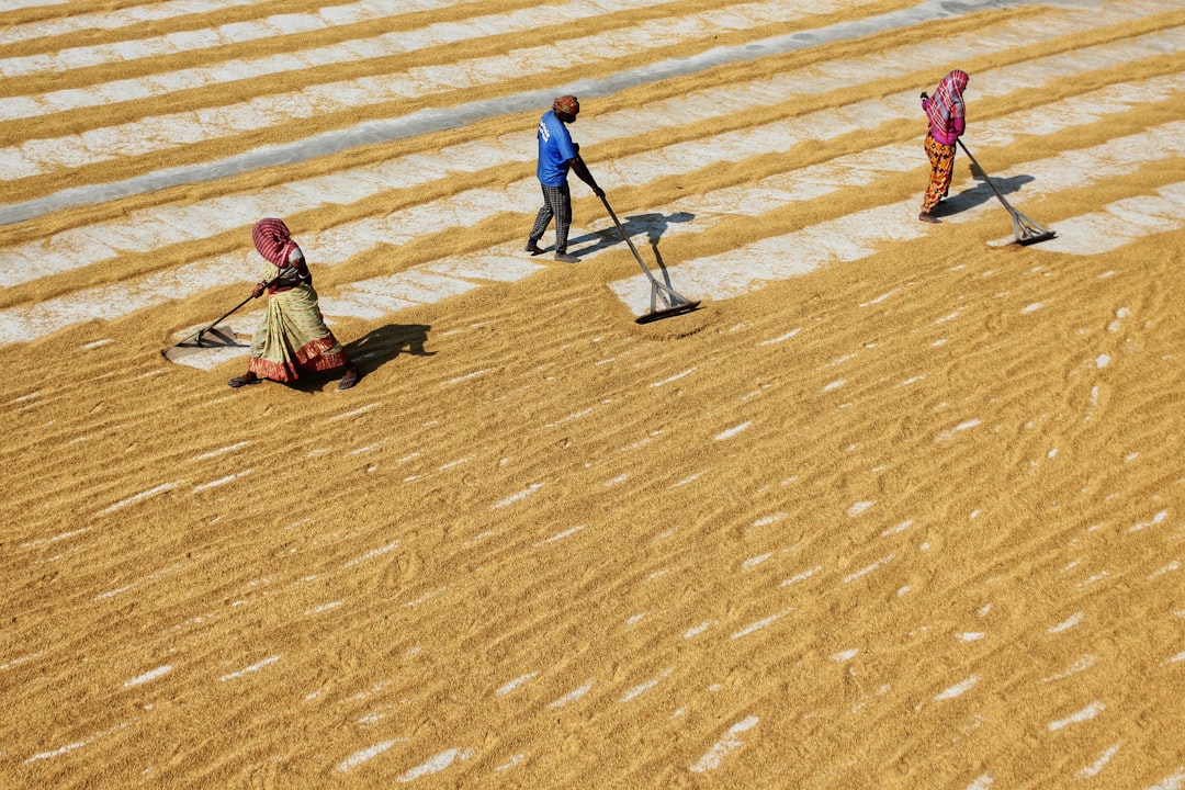 Photo Field Productivity