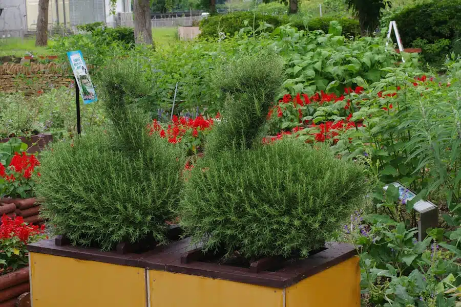 Photo AutoOps for Landscaping