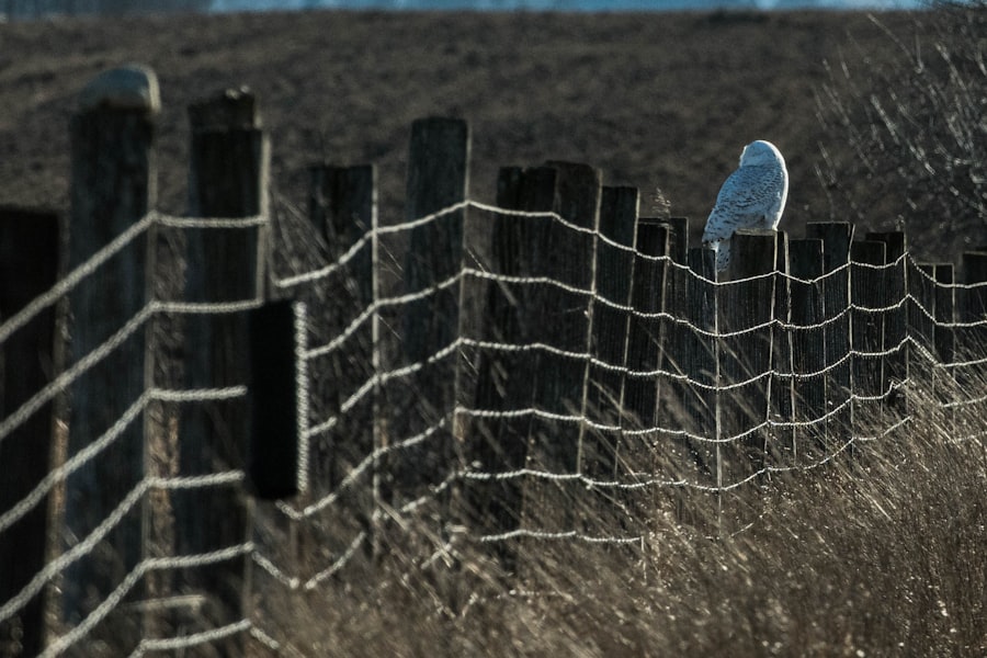 Photo Geo-Fencing