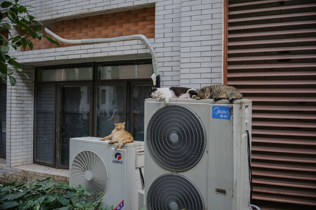Photo air conditioner repair service