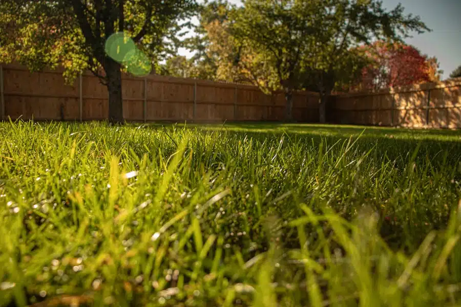 lawn care scheduling software