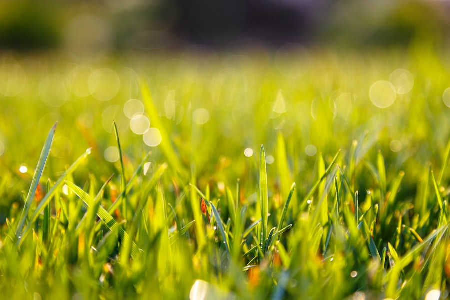 lawn care dispatch software