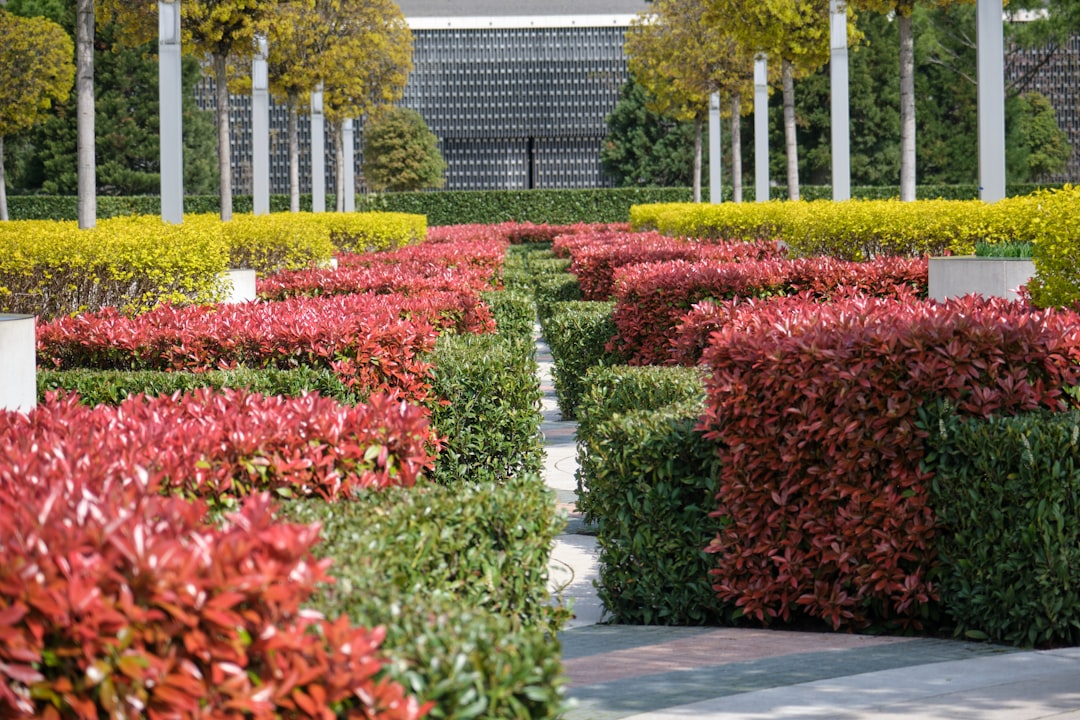 Photo landscaping service scheduling software