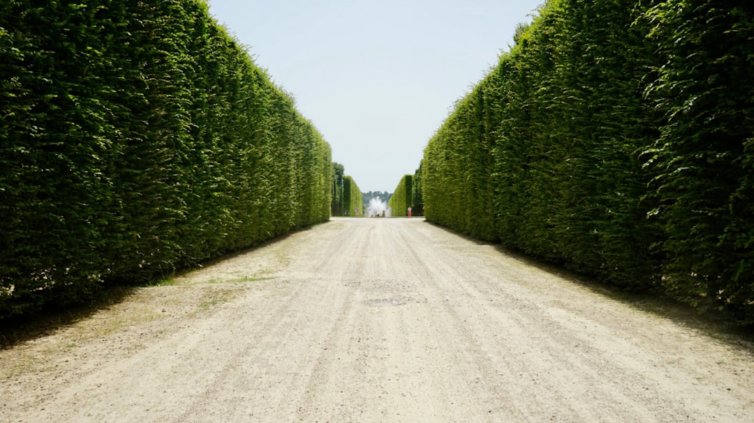 Photo landscaping dispatch software