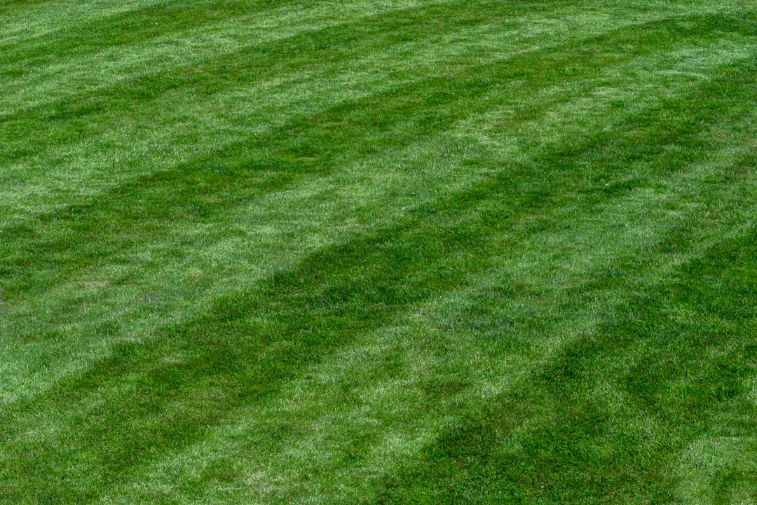 Photo lawn care scheduling software