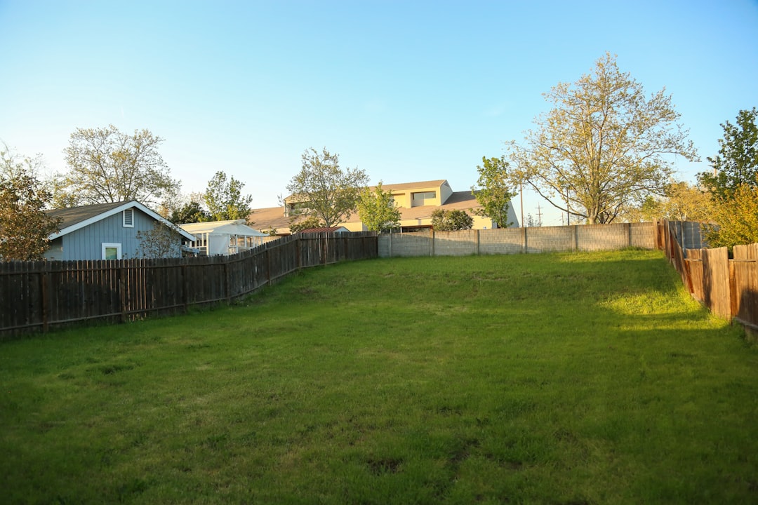 Photo landscaping companies