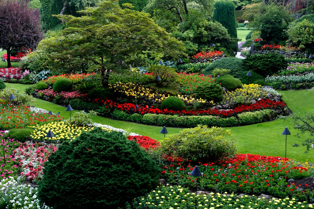 Photo landscaping scheduling software